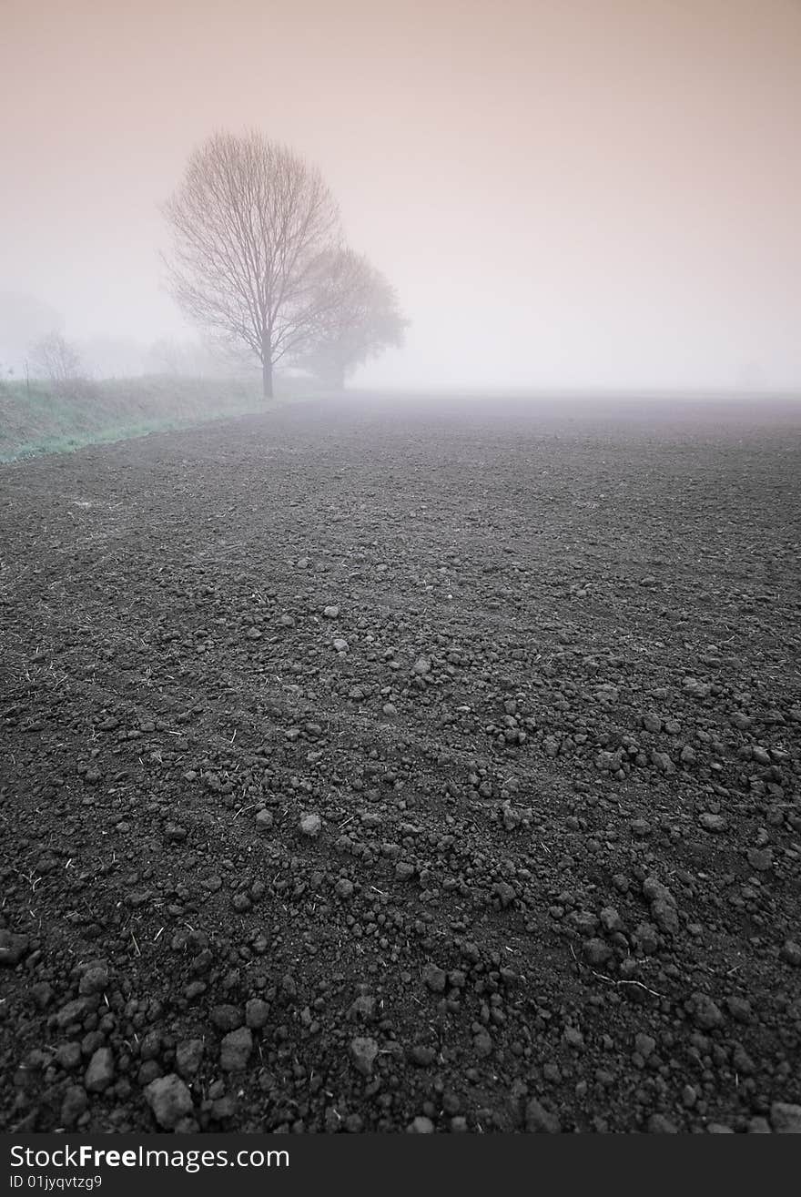 Foggy morning and non-urban scene in southern Poland