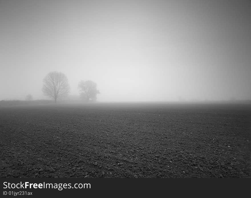 Foggy morning and non-urban scene in southern Poland