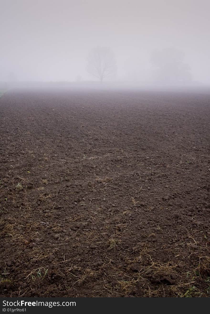 Foggy morning and non-urban scene in southern Poland