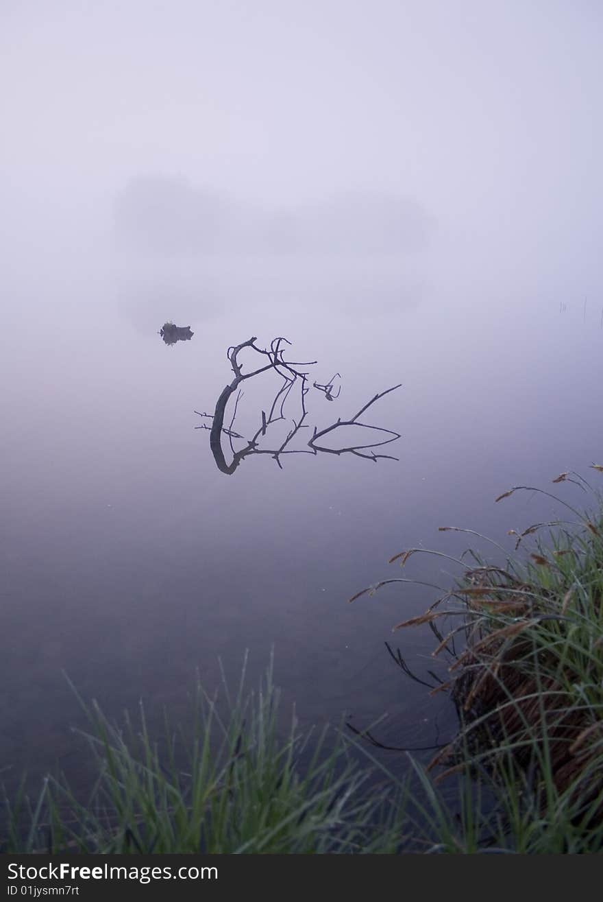 Foggy morning and non-urban scene in southern Poland