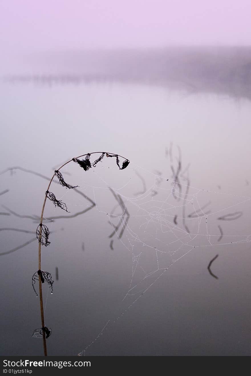 Foggy morning and non-urban scene in southern Poland