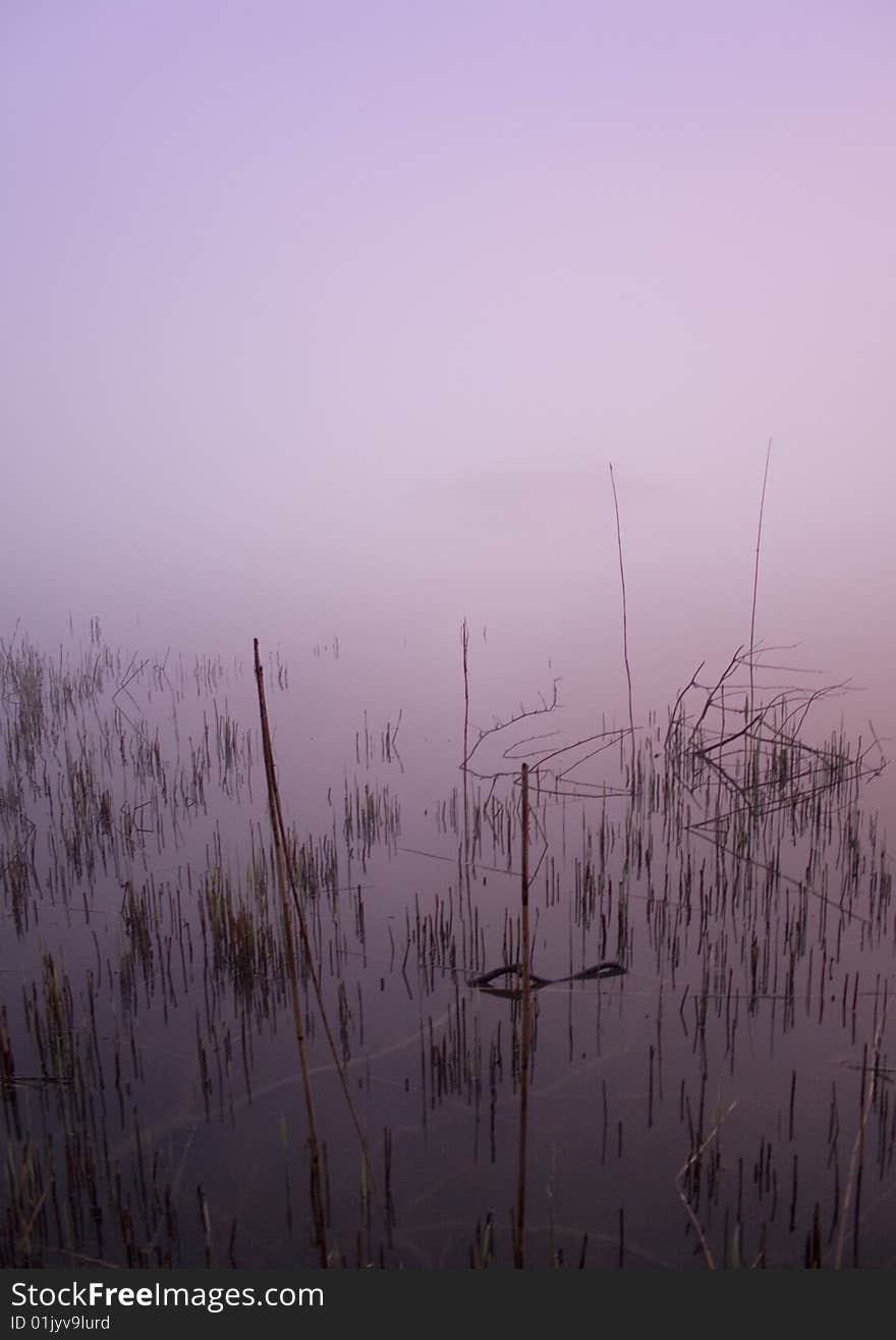 Foggy morning and non-urban scene in southern Poland