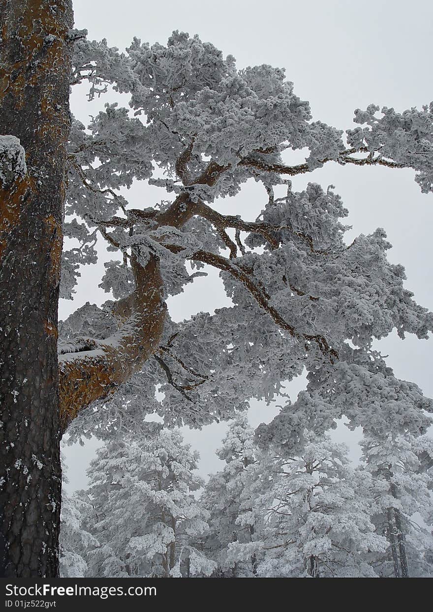 The pass of Navacerrada, Madrid, Spain