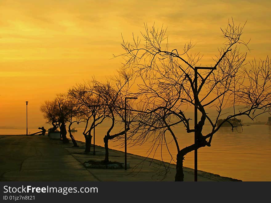 Leafless trees by the sea on autumn day.