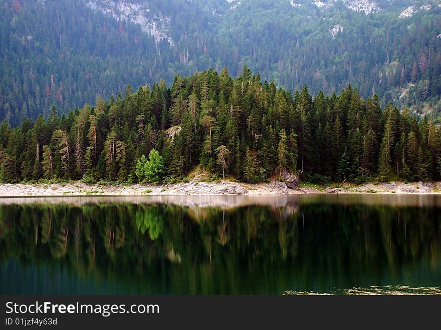 Lake and forest in Motnenegro