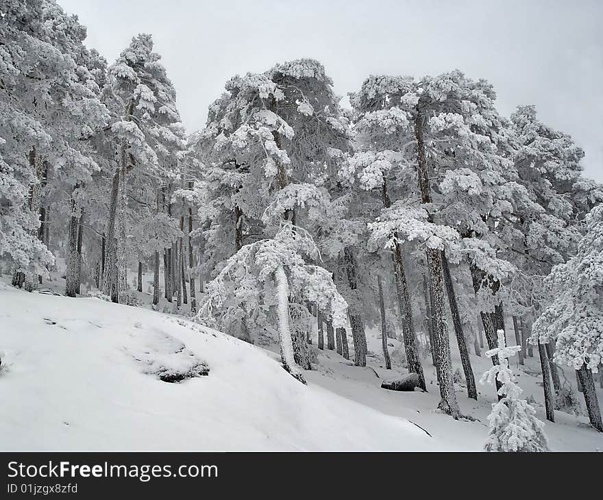 The Natural Park PeÃ±alara, Madrid, Spain