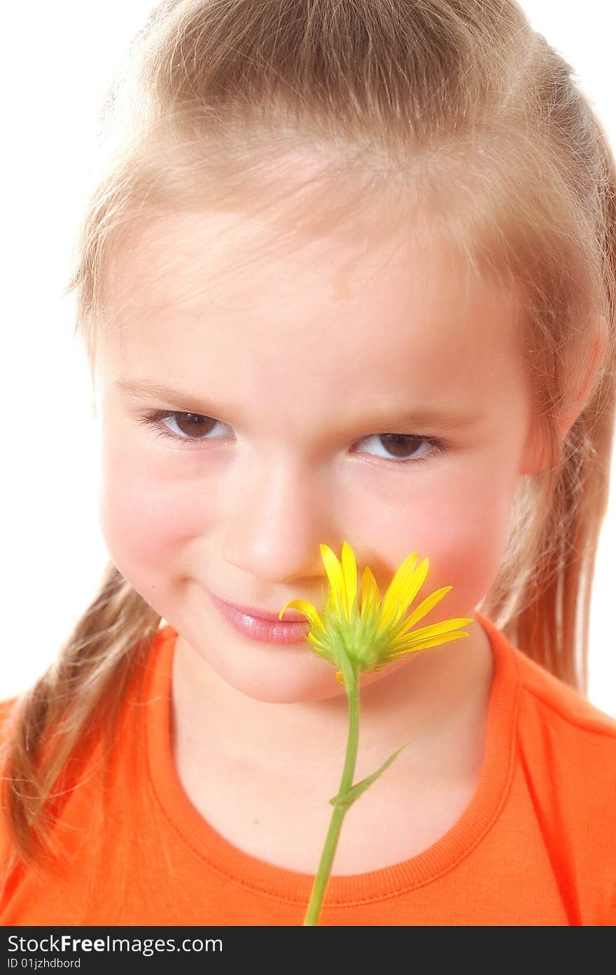 Cute girl holding a long flowers. White background.