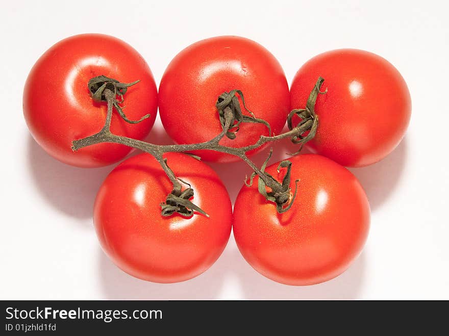 Five tomato on white background. Five tomato on white background