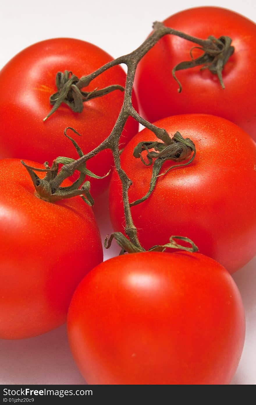 Five tomato on white background. Five tomato on white background