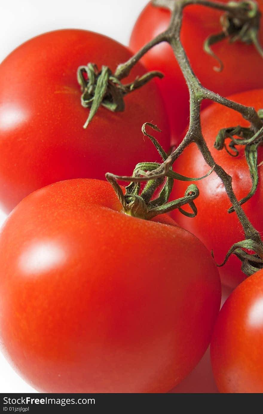 Five tomato on white background. Five tomato on white background