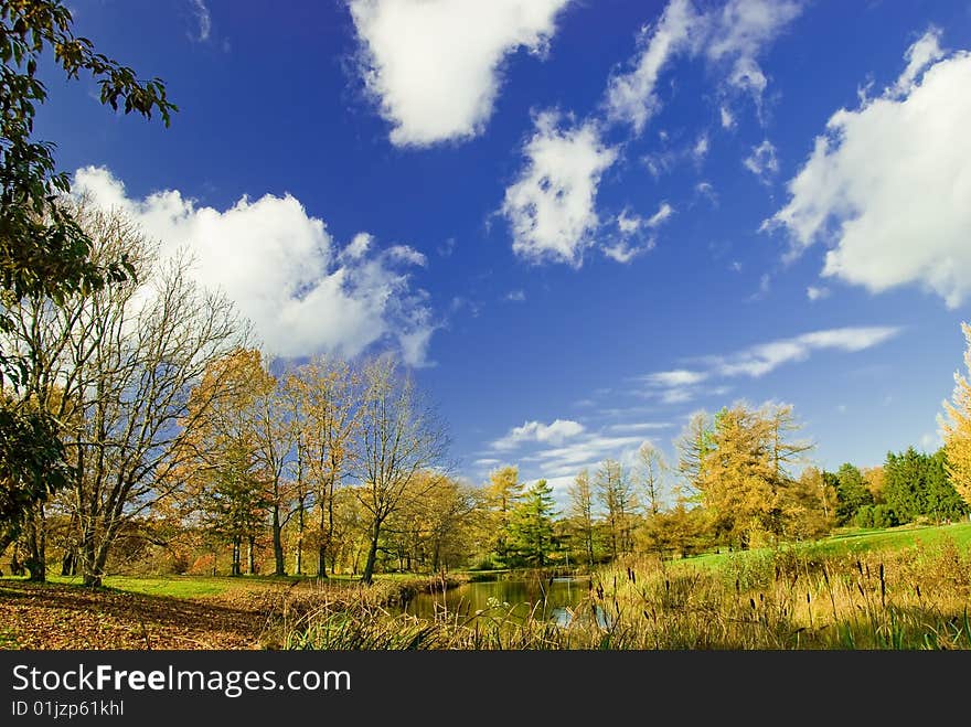 Autumn in the park