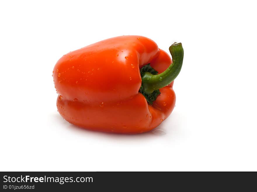 Orange Bulgarian Pepper Part Six