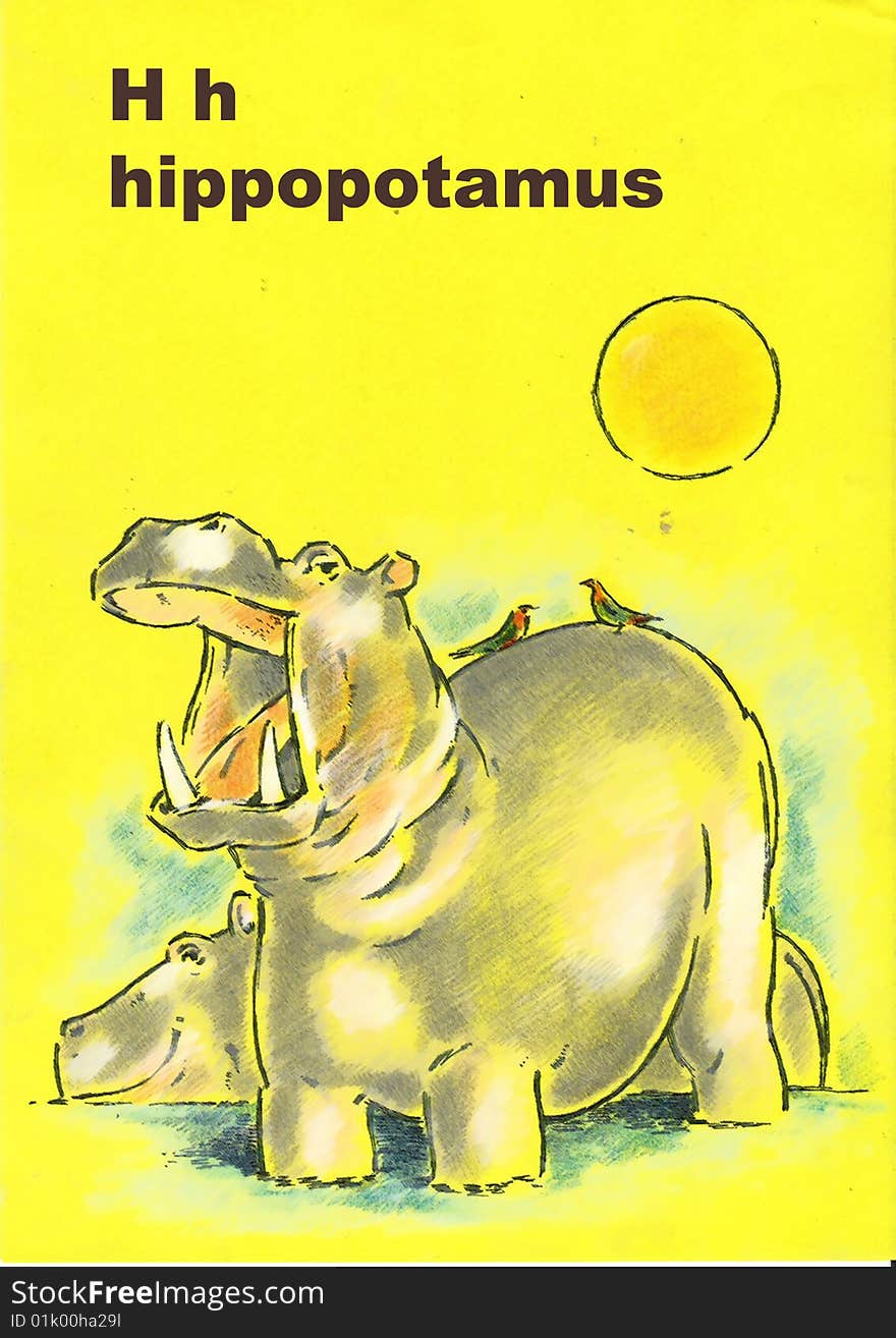 Illustrated alphabet for children h- hippopotamus