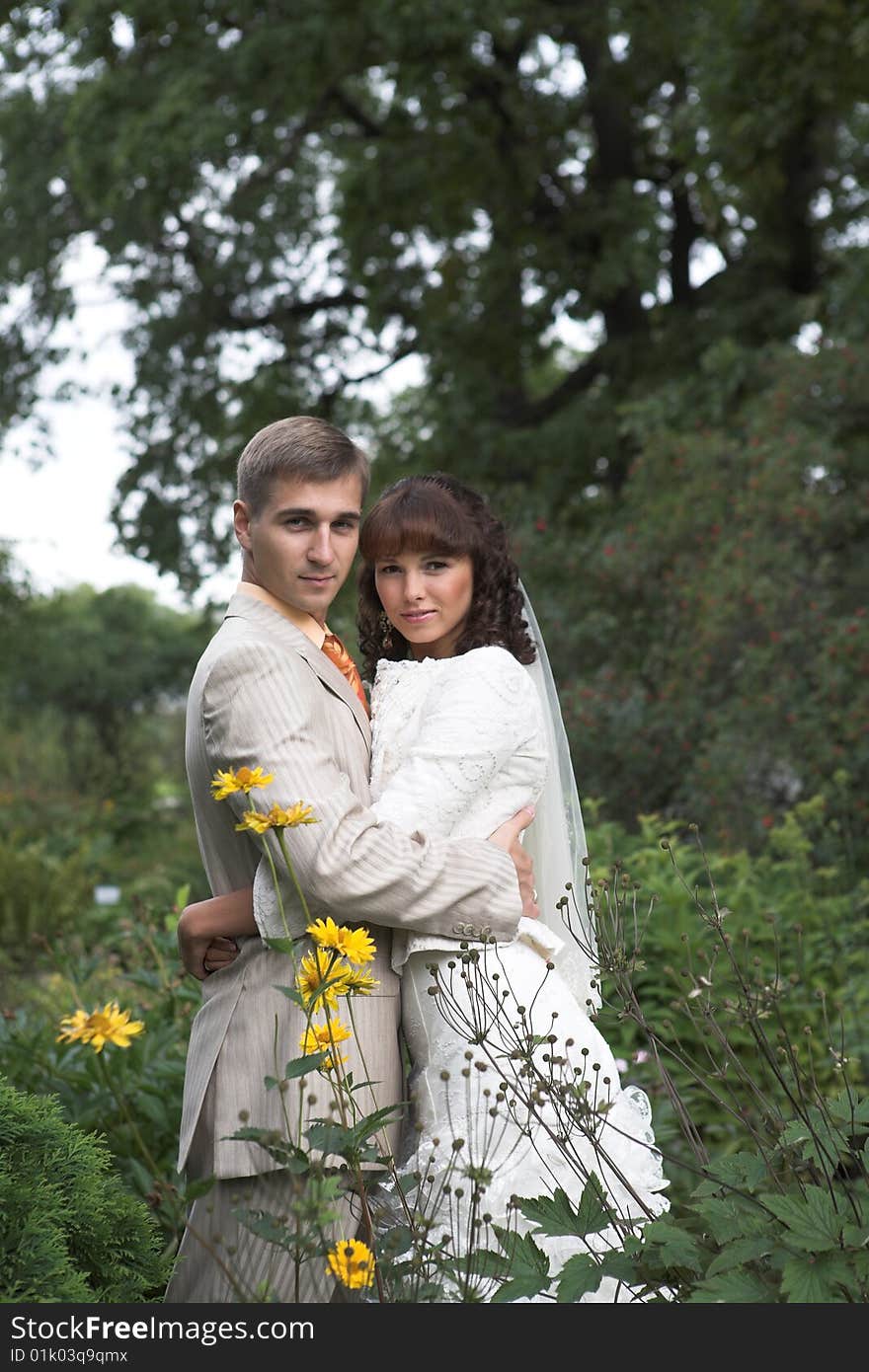 The newlyweds walking in park after the wedding. The newlyweds walking in park after the wedding