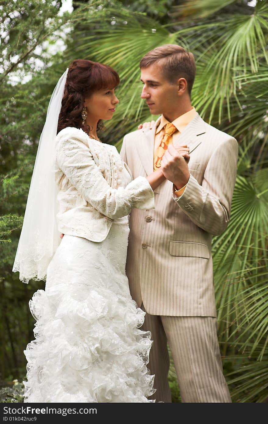 The newlyweds walking in park after the wedding. The newlyweds walking in park after the wedding