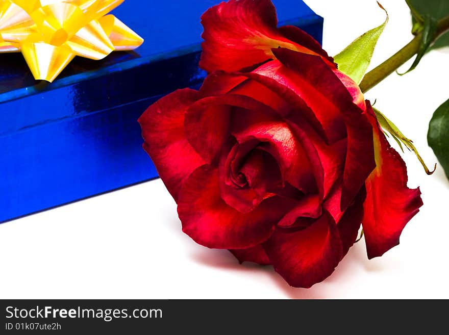 Rose and gift box