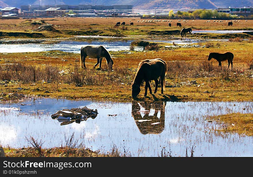 The landscape is very beautiful. The landscape is very beautiful