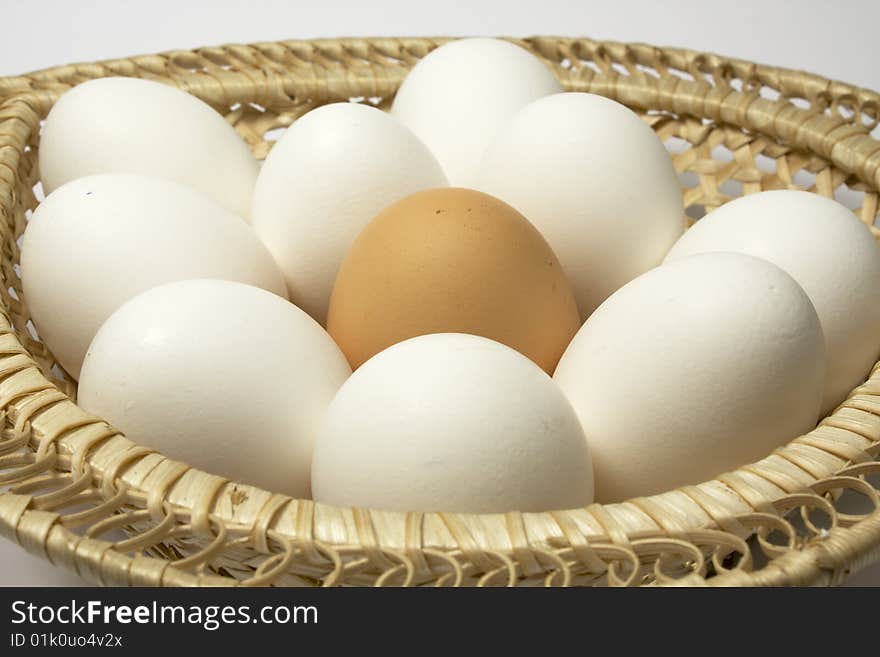 Eggs in a basket. All white, one brown