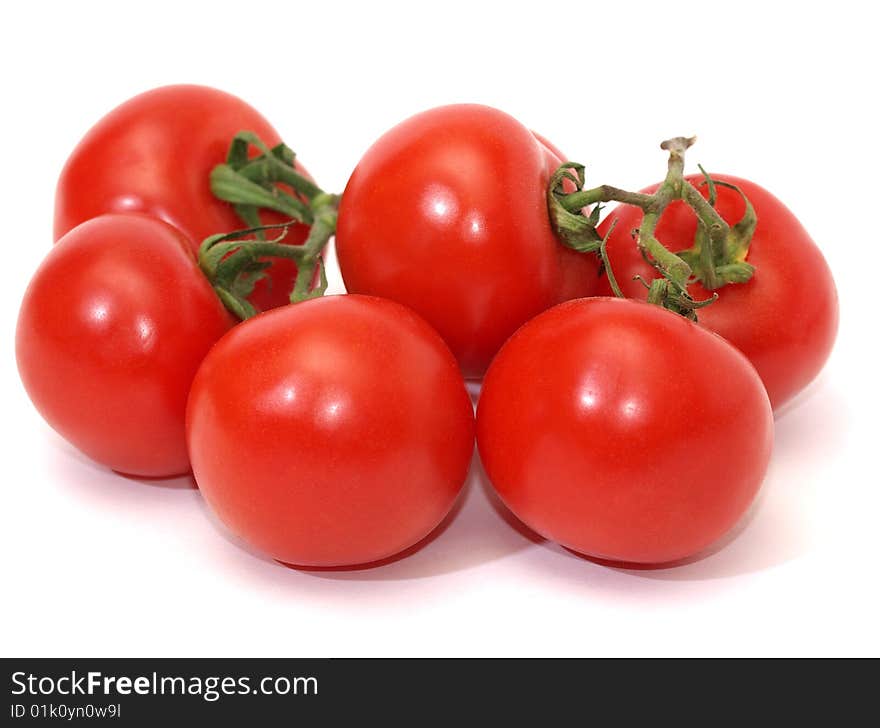 Picture on the tomatoes on a white background. Picture on the tomatoes on a white background