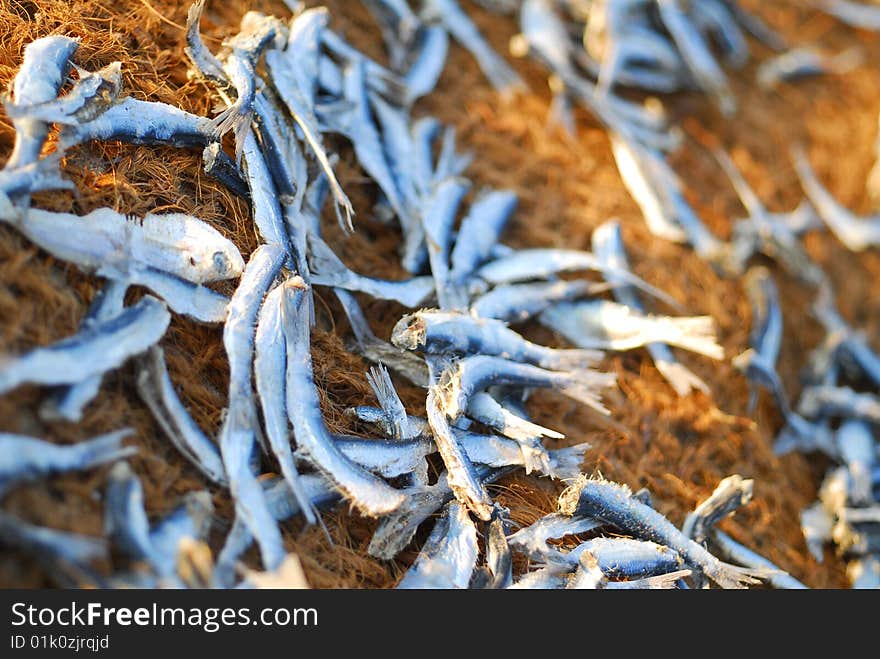 Dried fish