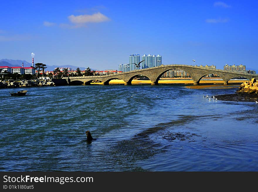 In China, has many newly built city seashore park