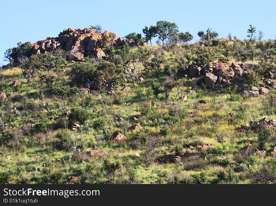 Rocks and vegetation detail in low rolling hills. Rocks and vegetation detail in low rolling hills.