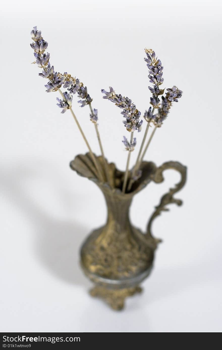 Aromatic lavender stems in a vintage vase