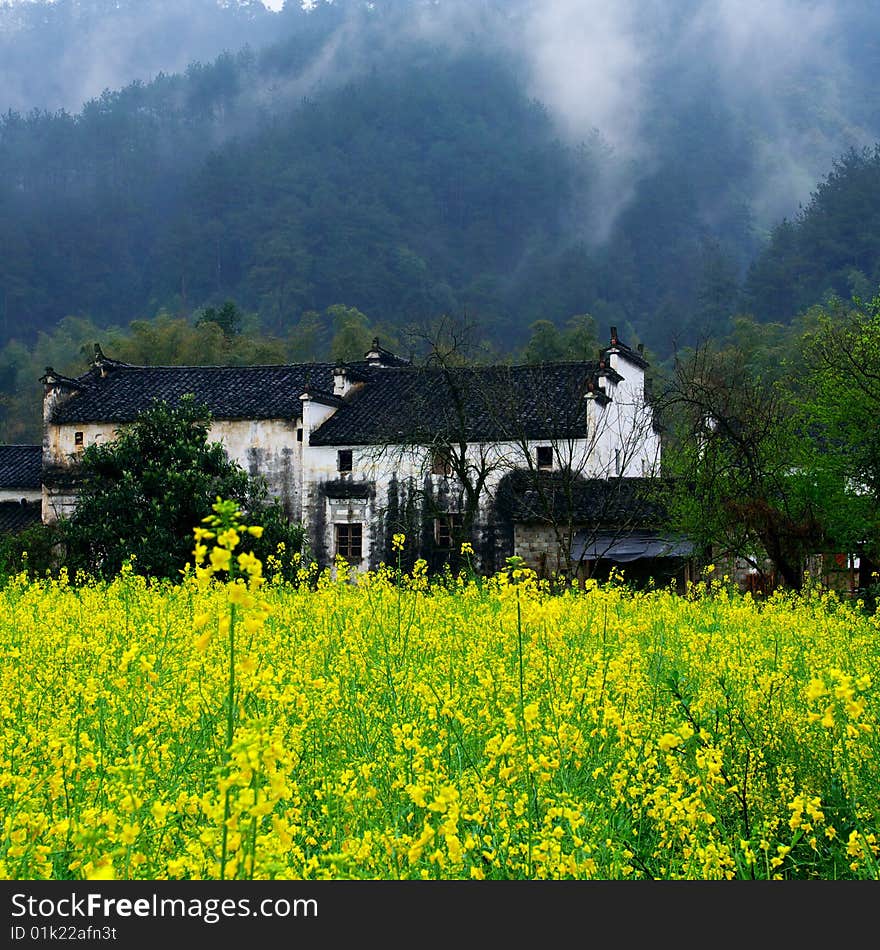 Beautiful village in the spring