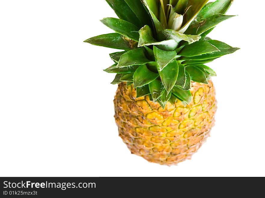 Pineapple studio isolated on white background