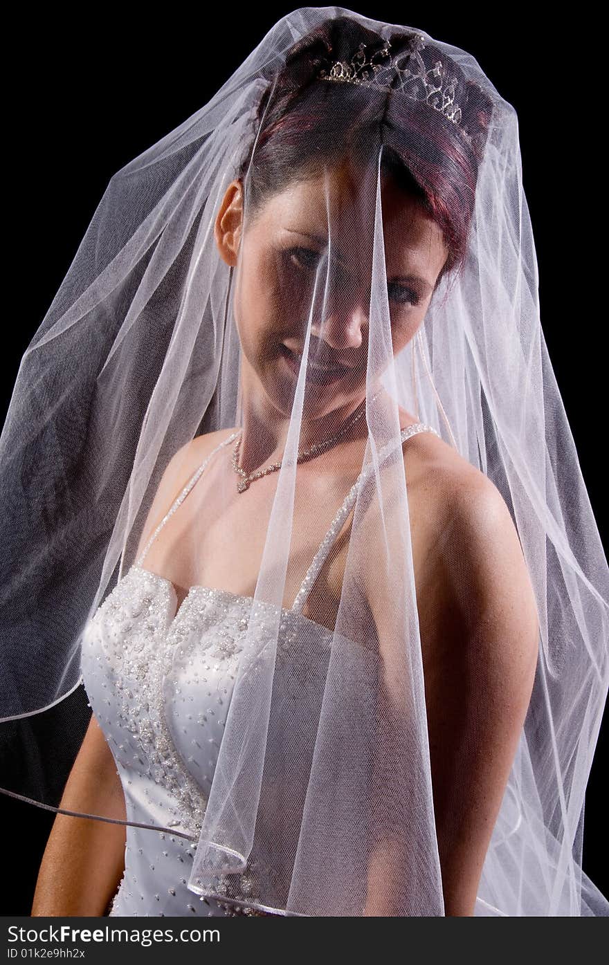 White Bride at her wedding posing with veil