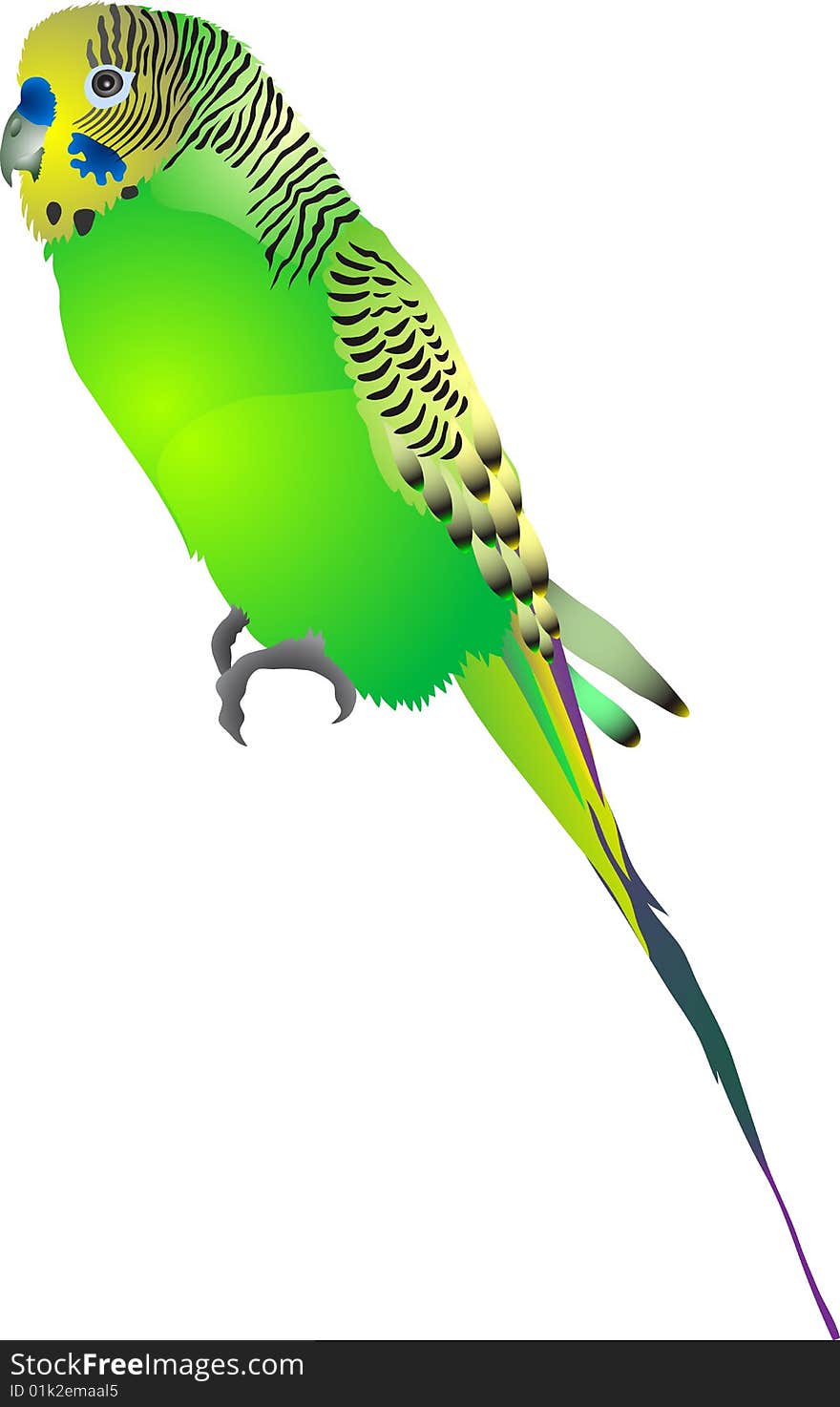 Green budgerigar abstract vector illustration