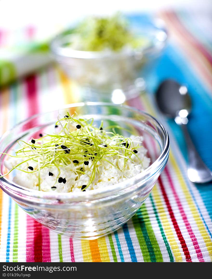 Cottage cheese with fresh germs on a colorful cover