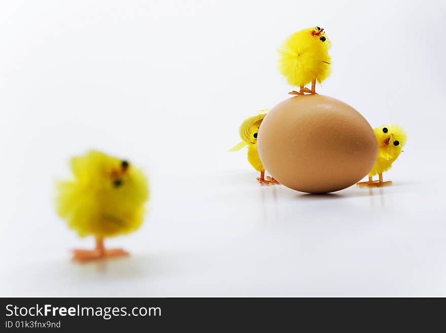 Easter chickens family on white background