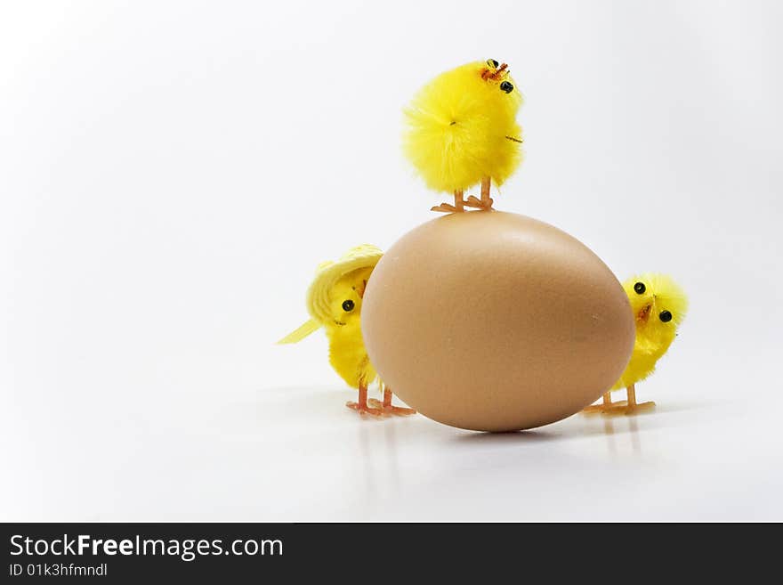 Easter chickens family on white background