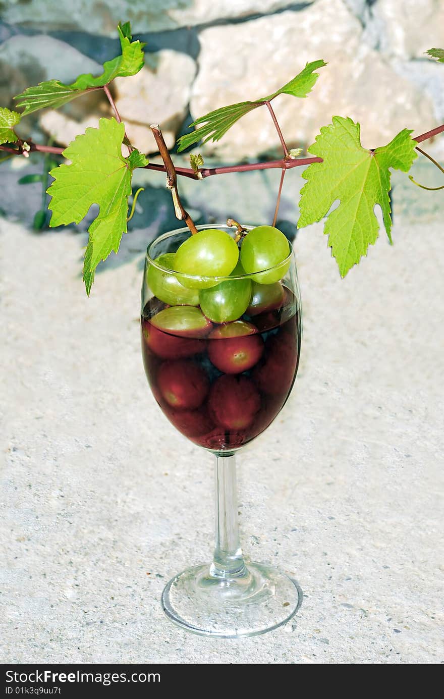 Green young vine shoot with red wine glass over stone fence. Green young vine shoot with red wine glass over stone fence