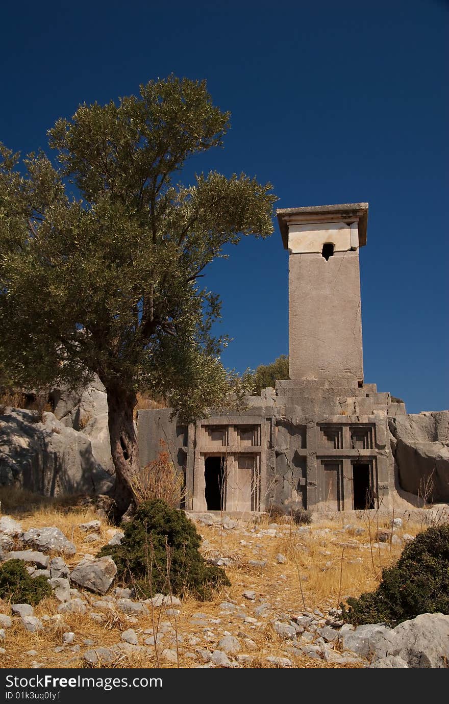 Olive Tree and Tombs, Xanthos, Turkey