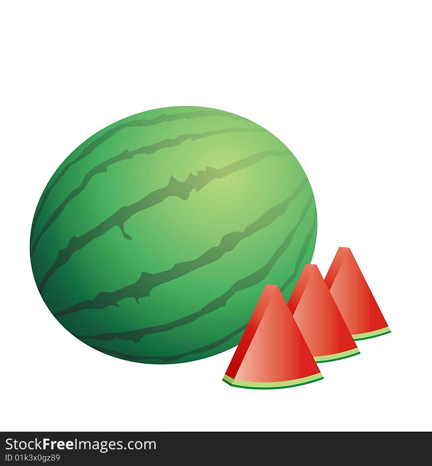 Vector image of watermelon on the white background.