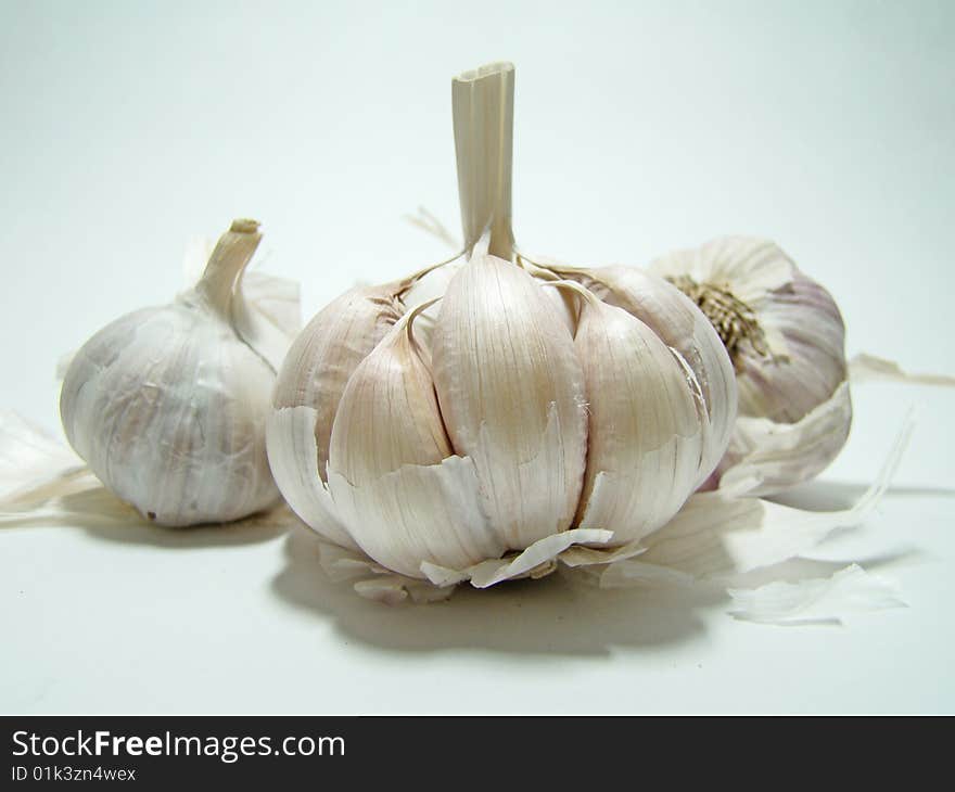 Garlic 01