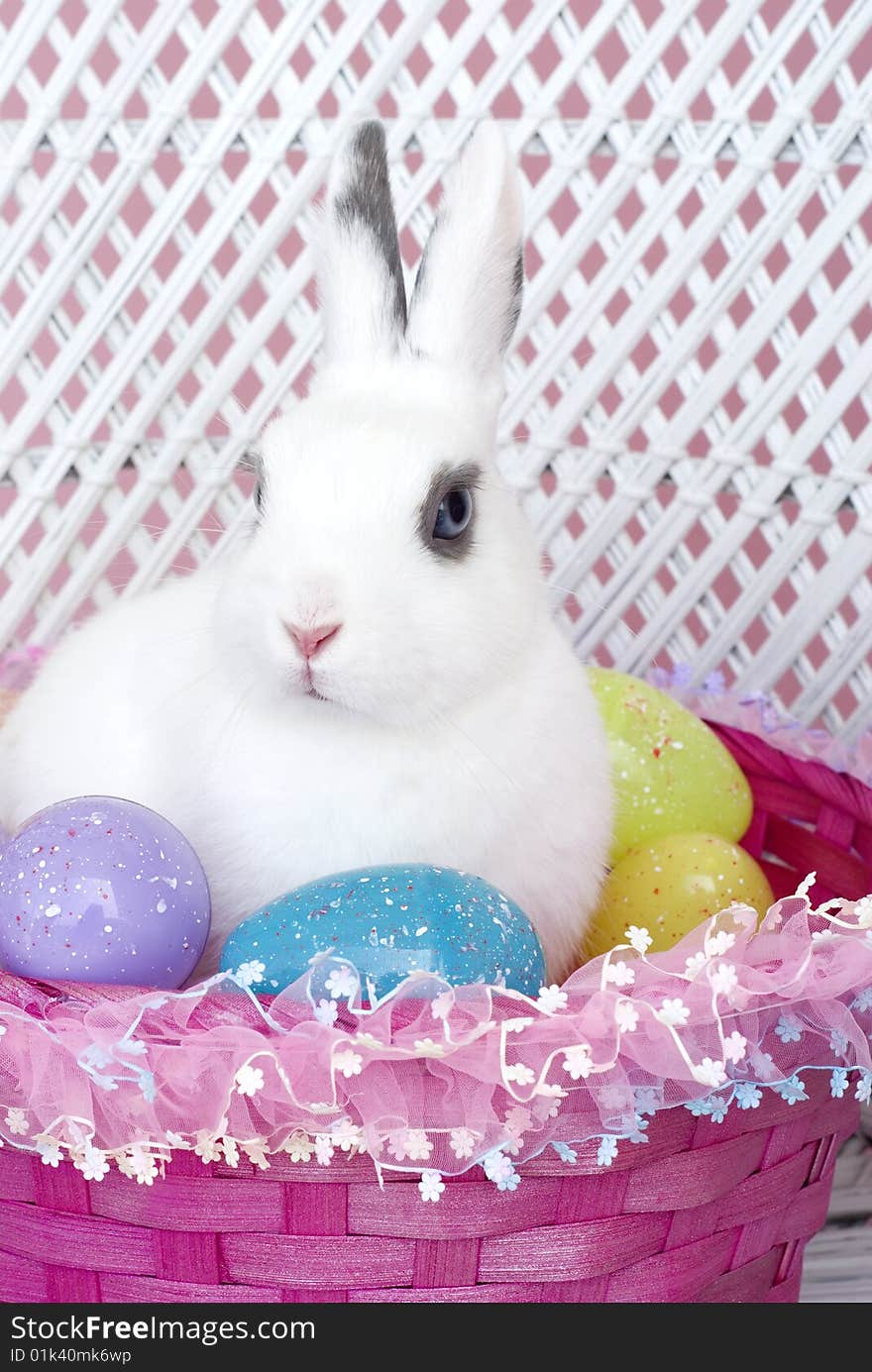 A young white rabbit in a pink Easter basket with mulicolored Easter eggs, vertical with copy space. A young white rabbit in a pink Easter basket with mulicolored Easter eggs, vertical with copy space