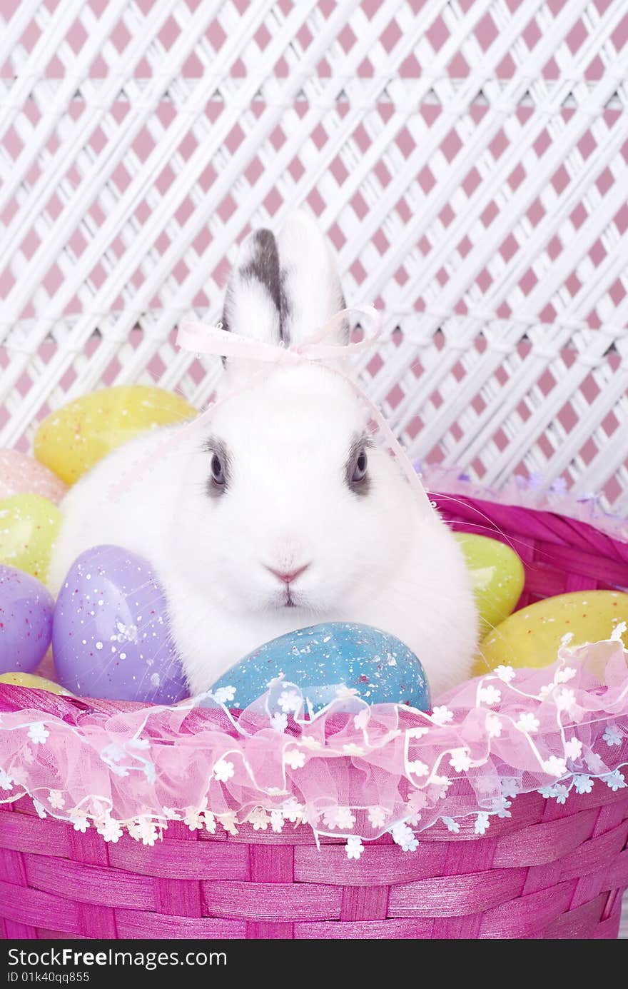 A young white rabbit with pink hair bow, in pink Easter Basket with colored Easter Eggs with copy space. A young white rabbit with pink hair bow, in pink Easter Basket with colored Easter Eggs with copy space