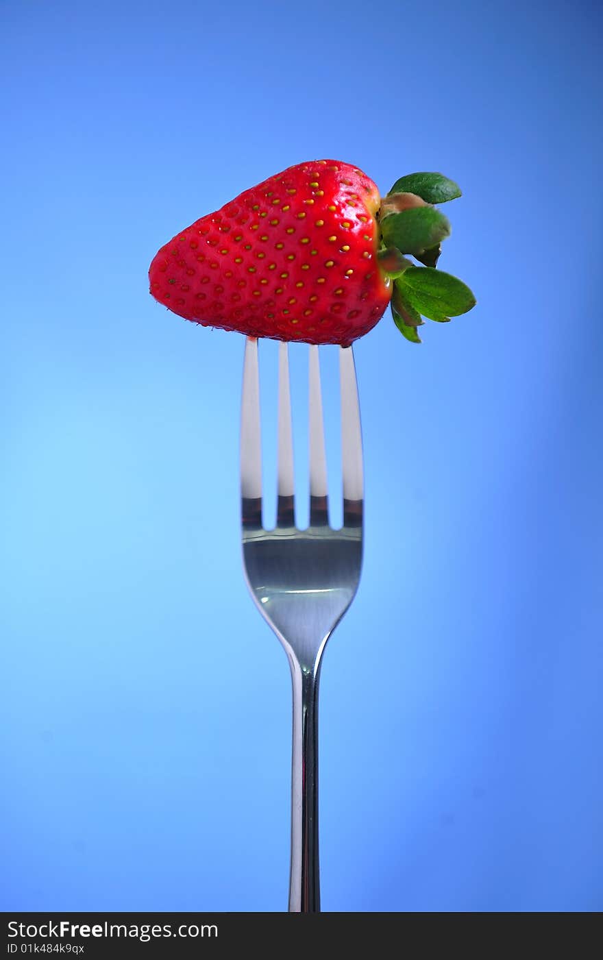 Strawberry on fork , blue background. Strawberry on fork , blue background