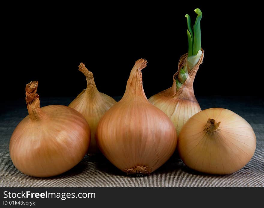 Onion