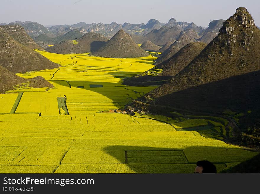 Hill & Rape Fields