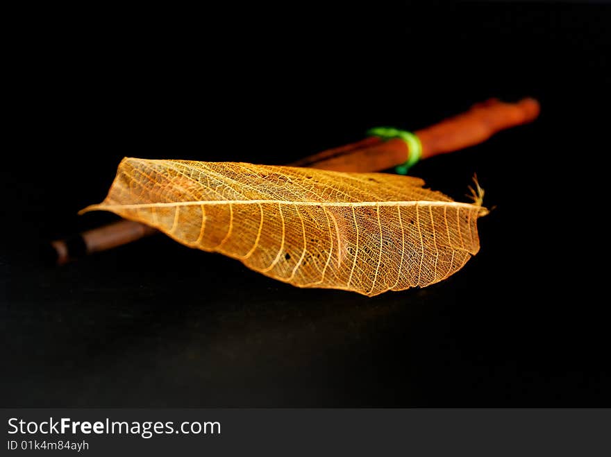 Close up transparent leaf with chopstick. Close up transparent leaf with chopstick