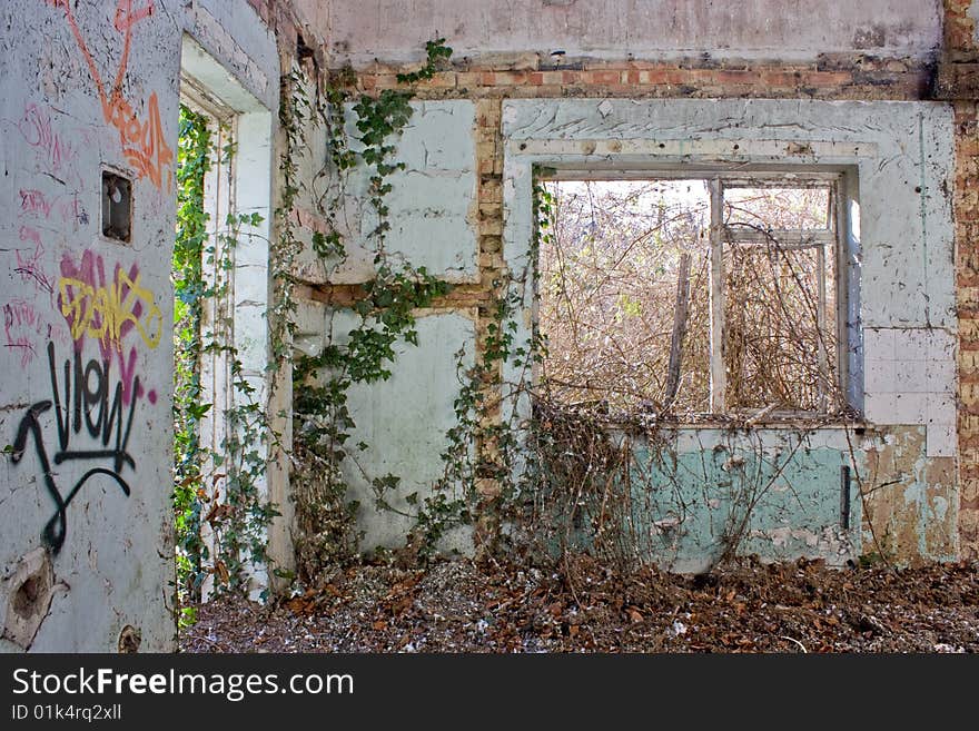 An abandoned house being reclaimed by nature. An abandoned house being reclaimed by nature