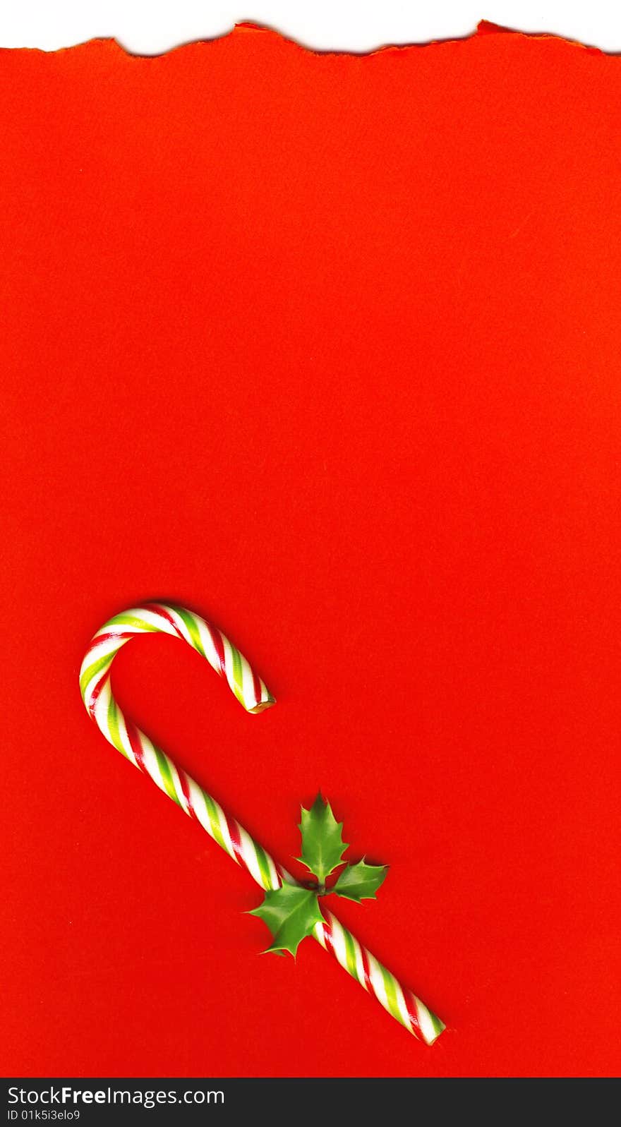 Candy cane with pretty holly leaves on red background, candy cane