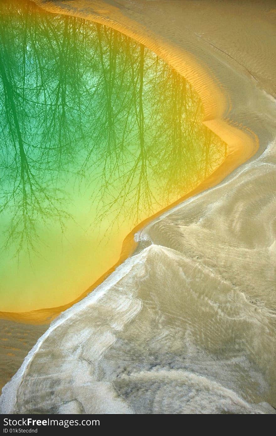 Shore of pond with reflected trees. Shore of pond with reflected trees