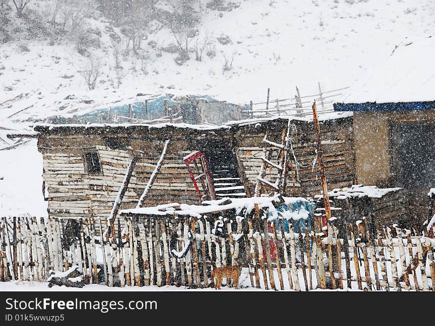 Little old cottage in snow