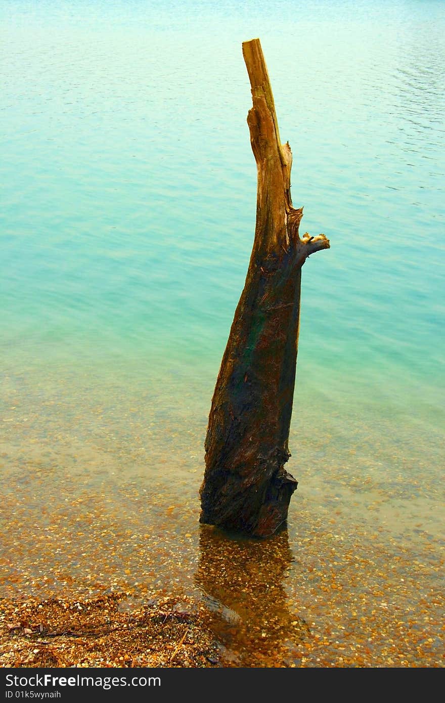 Self created arrangement with weather-beaten wood on a lake shore. Self created arrangement with weather-beaten wood on a lake shore