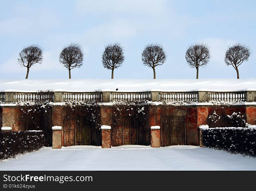 Trees on the imbankment in winter